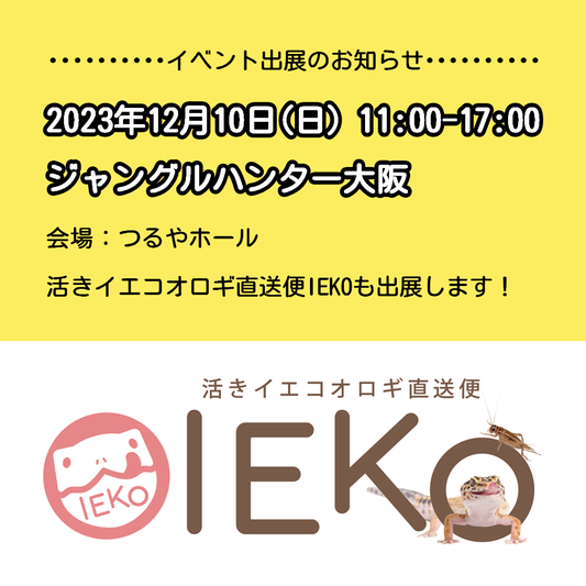 12月10日ジャングルハンター大阪に出展します!