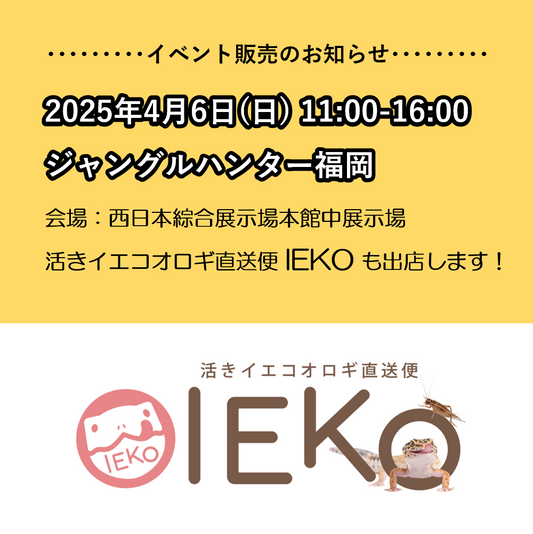 2025年4月6日ジャングルハンター福岡に出店!