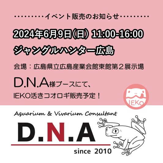 2024年6月9日ジャングルハンター広島で販売!
