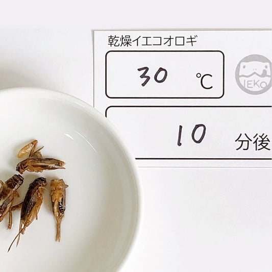 乾燥コオロギのふやかし方