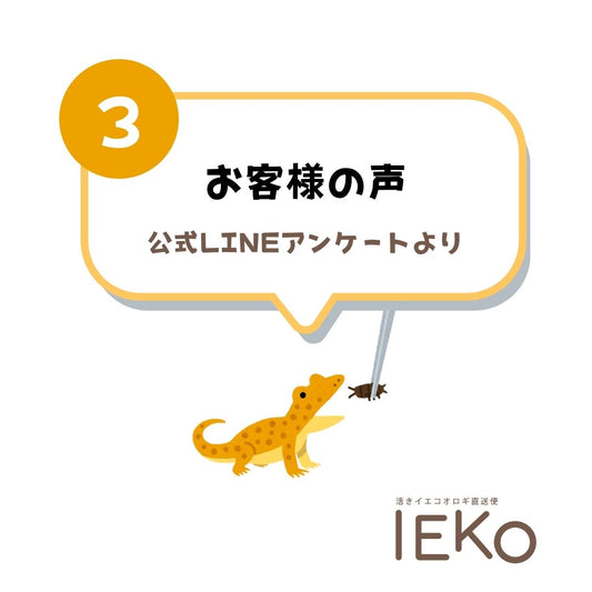 お客様の声 LINEアンケート第3弾より