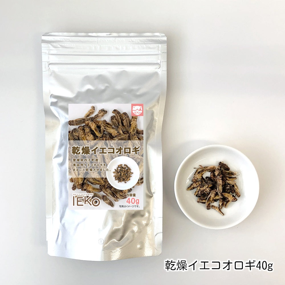 乾燥イエコオロギ