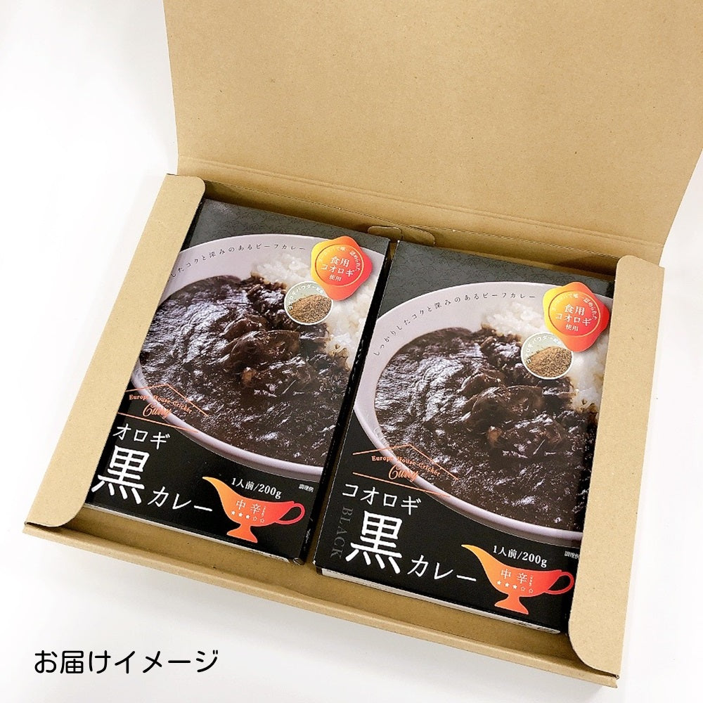 送料無料*【ヒト用】コオロギ黒カレー2個セット