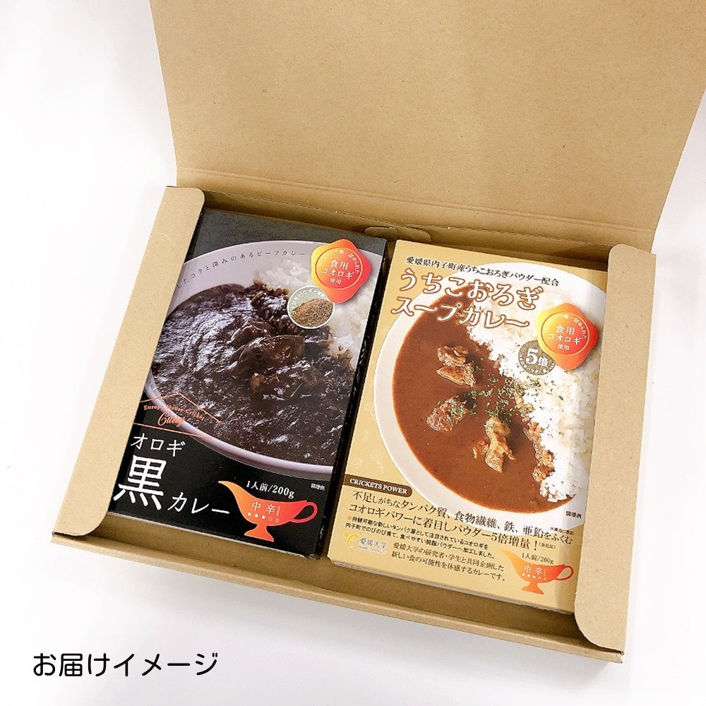 送料無料*【ヒト用】コオロギカレー2種セット
