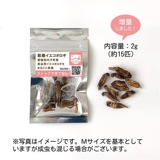 送料込み*乾燥イエコオロギ&パウダーお試し330円セット