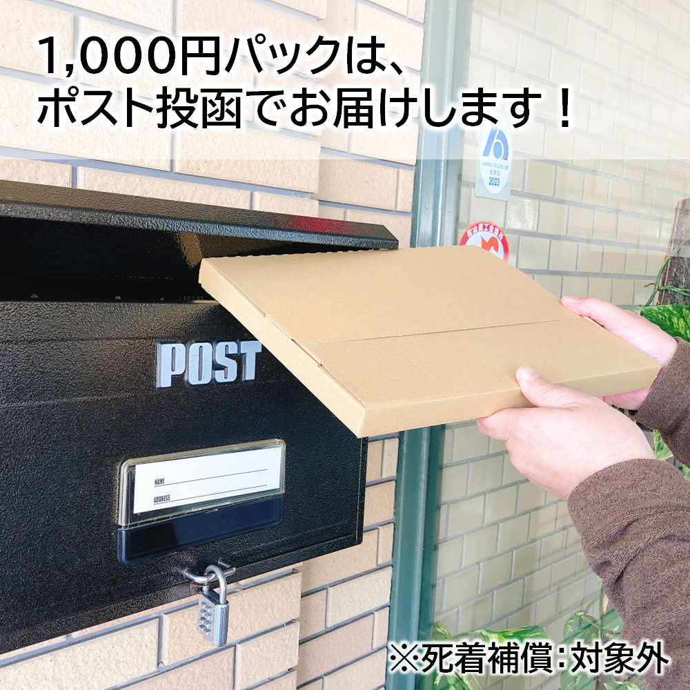 送料込み*活きイエコオロギ 1,000円パック