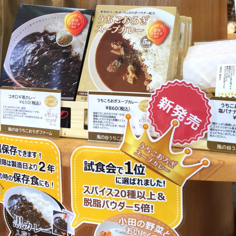 送料無料*【ヒト用】うちこおろぎスープカレー2個セット