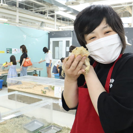 いきものふれあい学校 松山店様 ～爬虫類編～