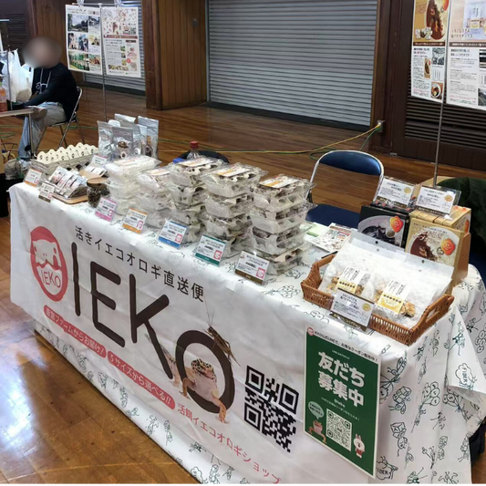 春の人気は小さめコオロギ!? ジャングルハンター福岡の熱気をレポート！