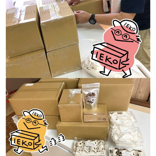 初心者必見！通販で届いたイエコオロギの開封・保存・給餌マニュアル