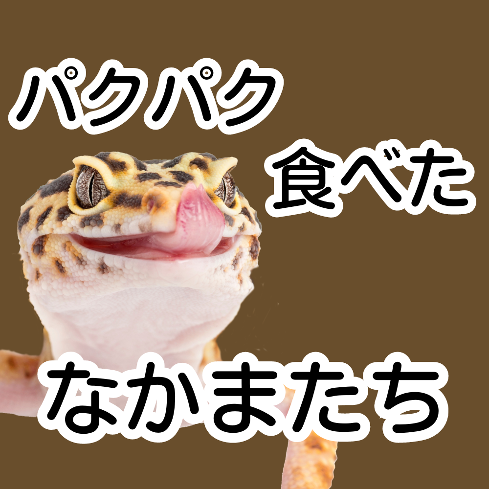 IEKOの活きイエコオロギをパクパク食べたなかまたち