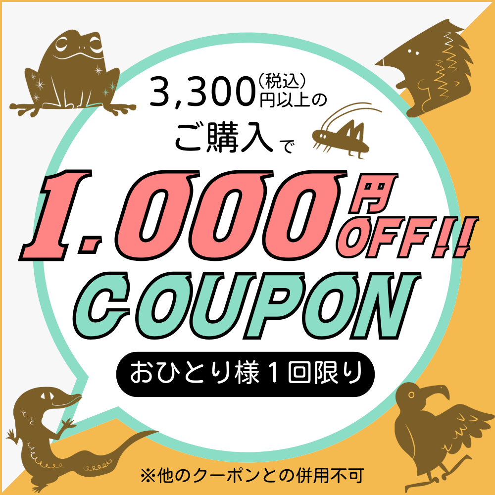 税込3,300円以上のご購入で1,000円OFFクーポン