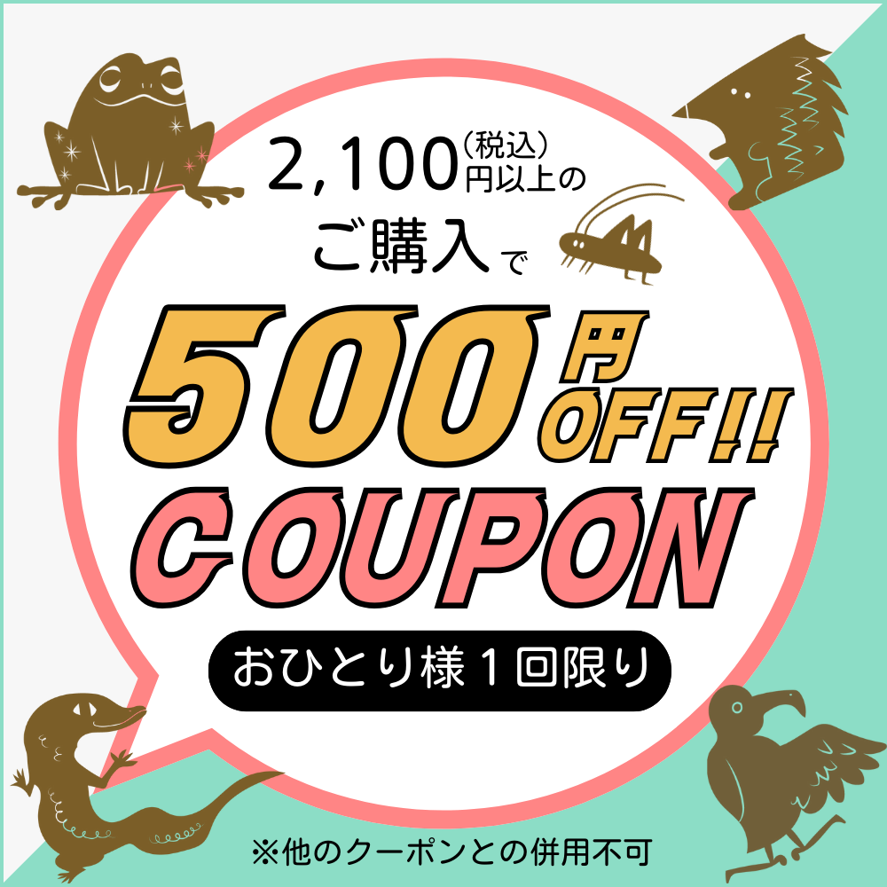 税込2,100円以上のご購入で500円OFFクーポン