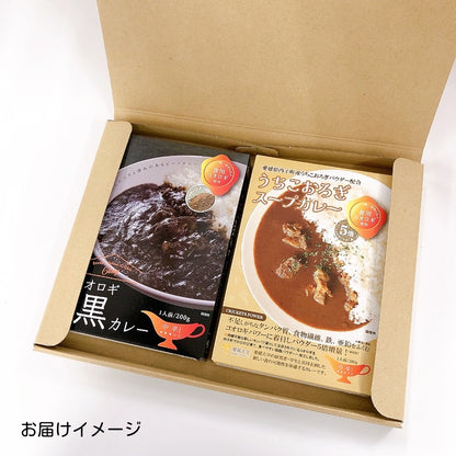 送料無料＊【ヒト用】コオロギカレー2種セット