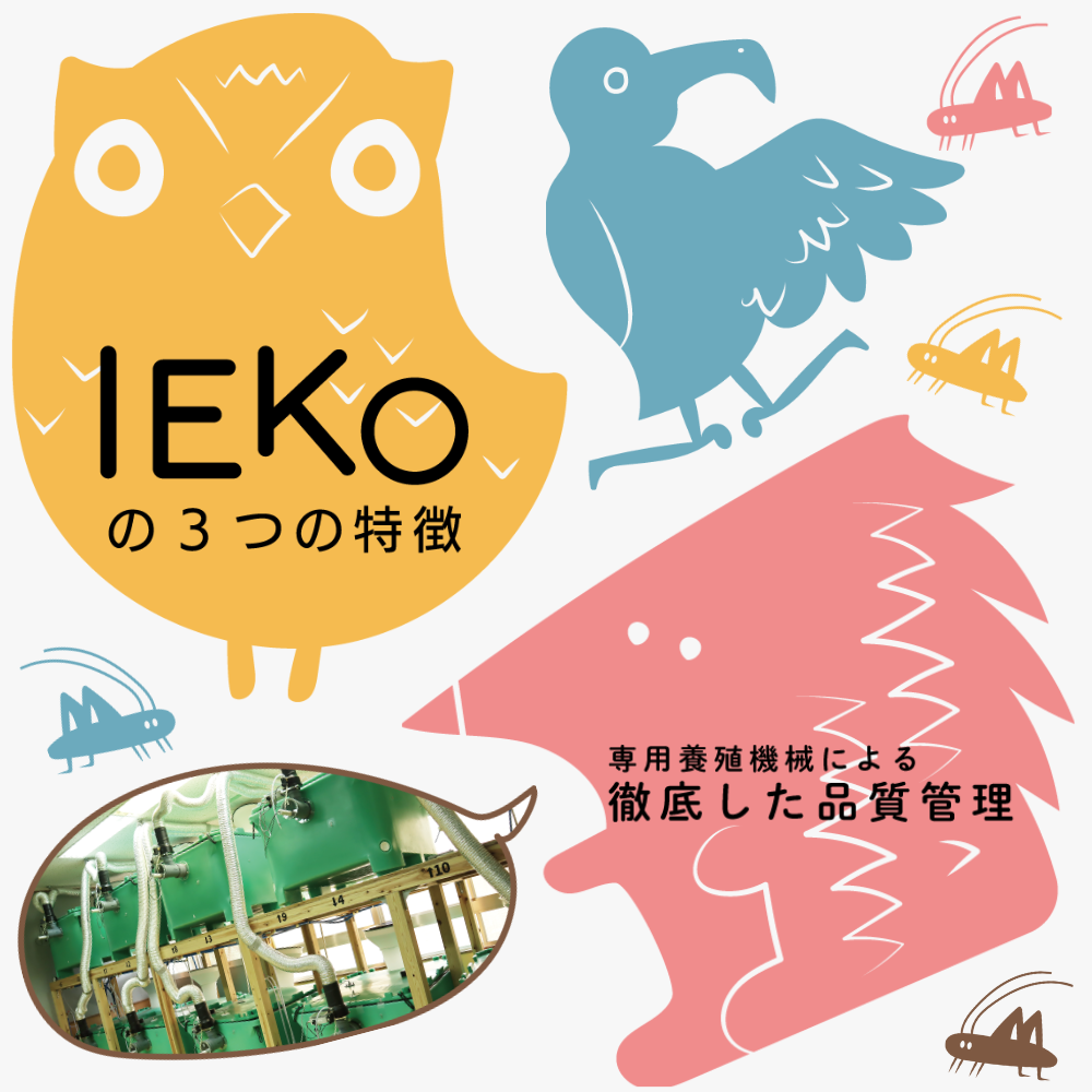 IEKOの3つの特徴／専用養殖機械による徹底した品質管理