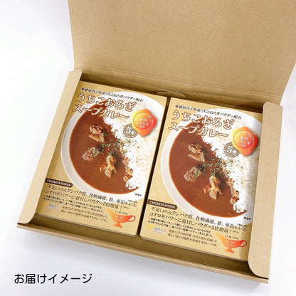 送料無料＊【ヒト用】うちこおろぎスープカレー2個セット